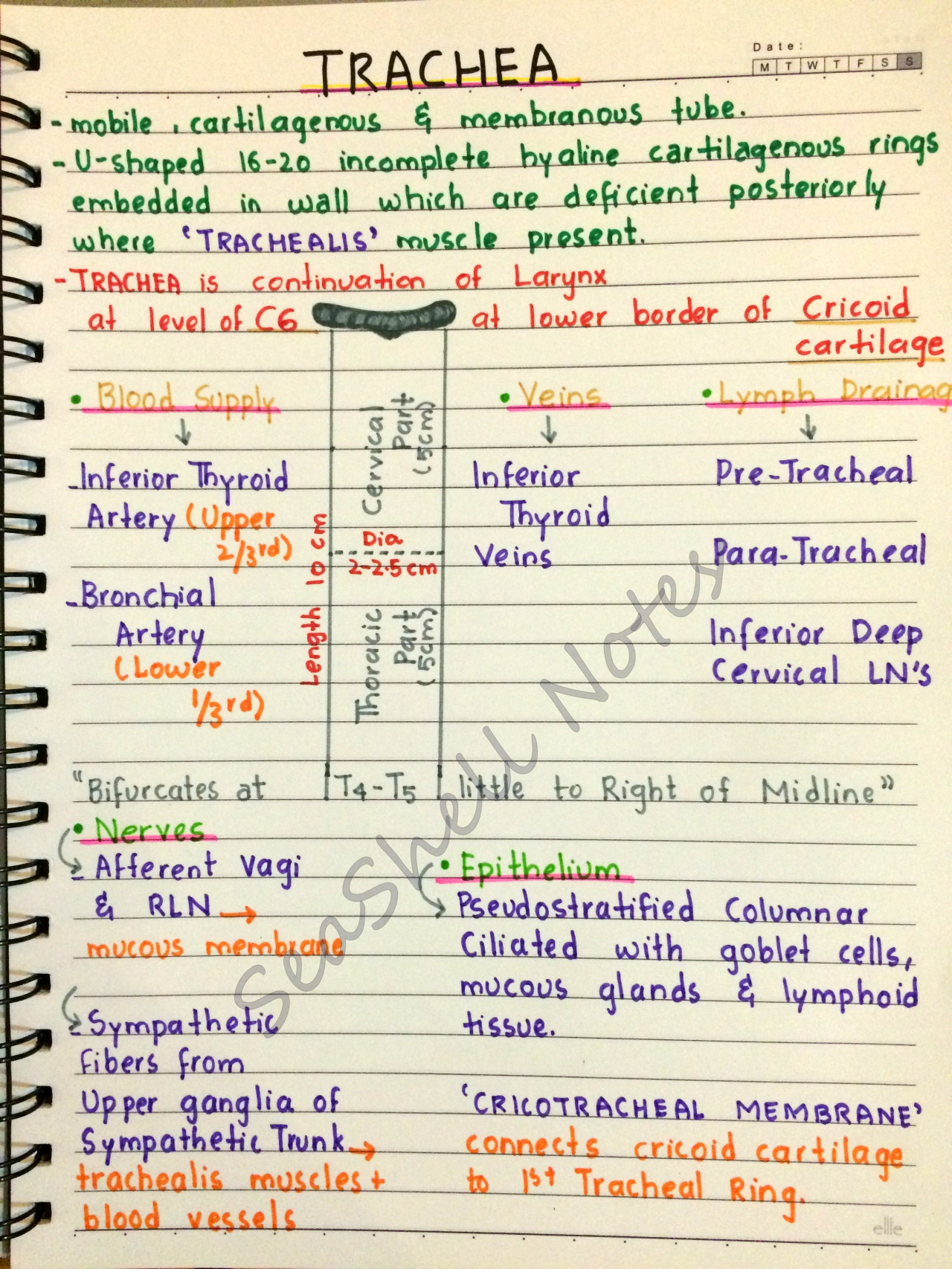 dr najeeb lectures written notes pdf download